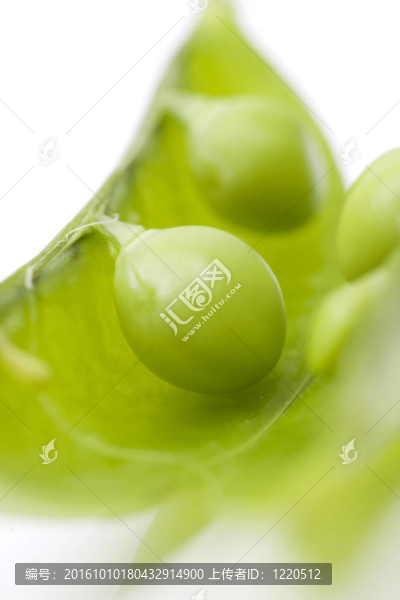 白色背景上的新鮮豌豆