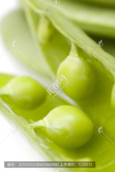 白色背景上的新鮮豌豆
