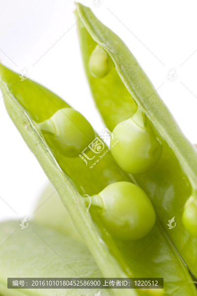 白色背景上的新鮮豌豆