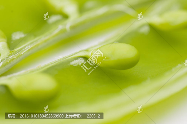 白色背景上的新鮮豌豆