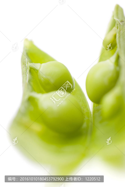 白色背景上的新鮮豌豆