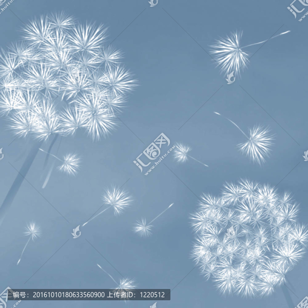 風(fēng)中的蒲公英