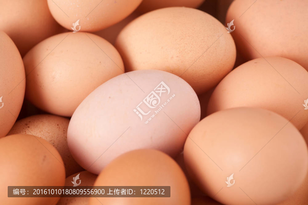 雞蛋收起來