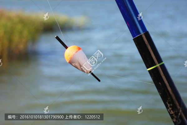 釣魚浮漂