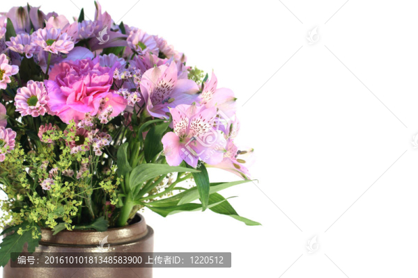 混合粉色的花