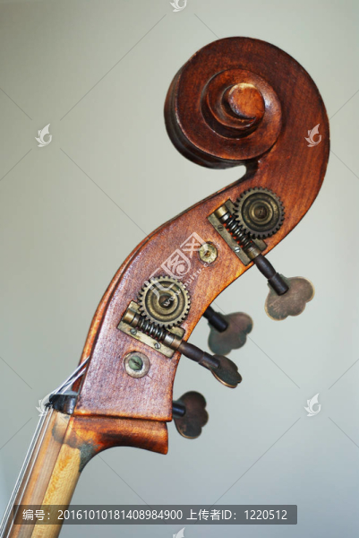低音提琴