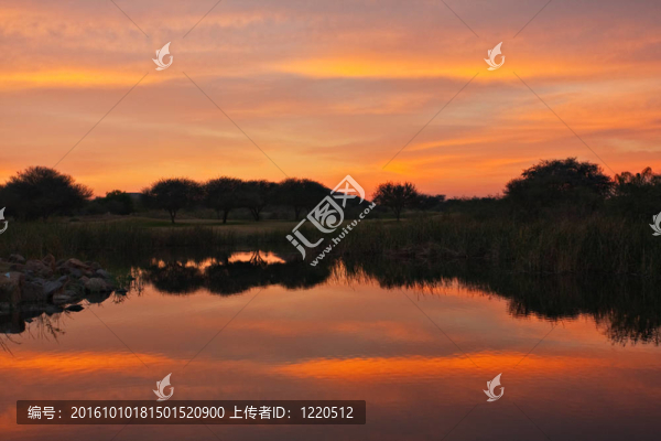 非洲景觀