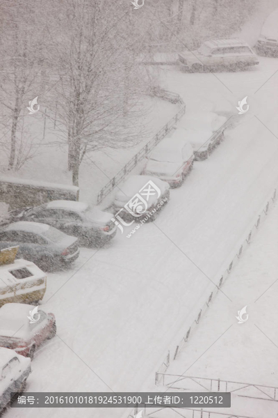 降雪下的汽車