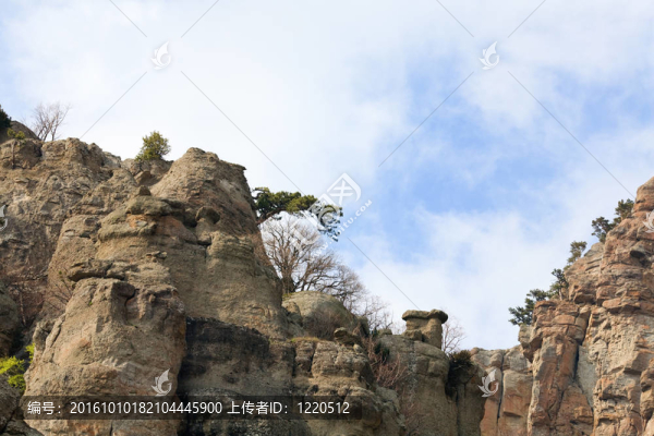 洛磯山觀
