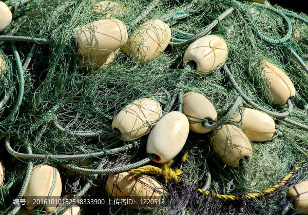 舊漁網(wǎng)