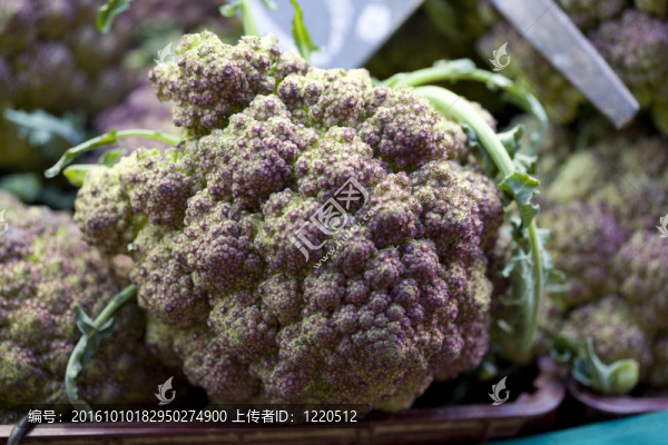 西蘭花