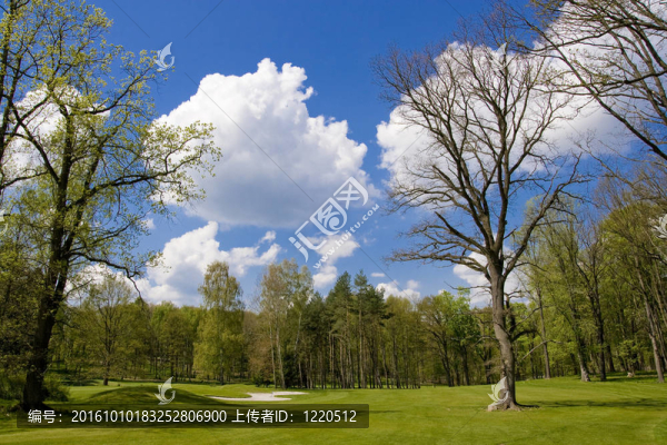 高爾夫球場