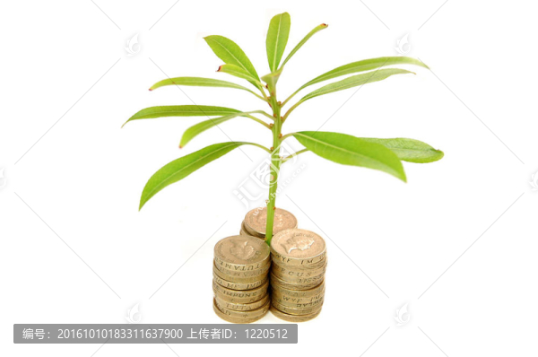 貨幣與增長