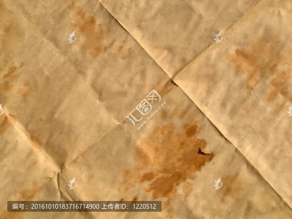 皺紋紙莎草紙