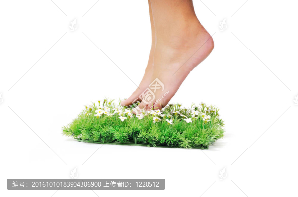 最后的綠洲