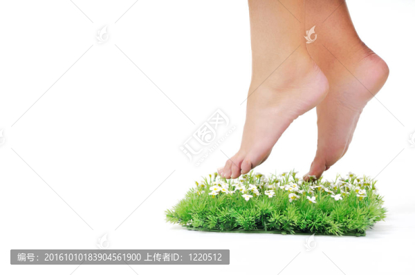 最后的綠洲