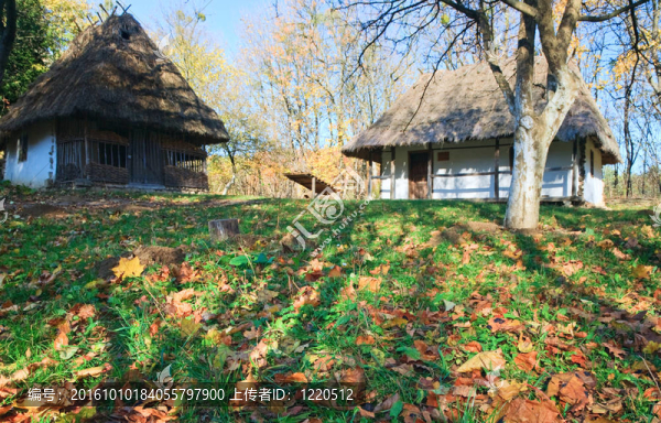 鄉(xiāng)村木屋和秋季花園草近