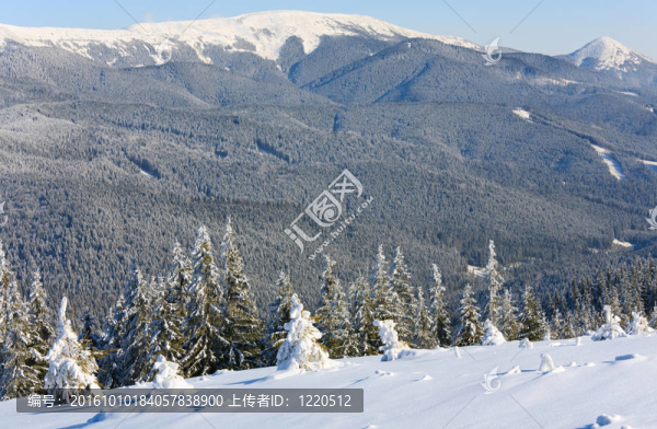 冬天的山地景觀
