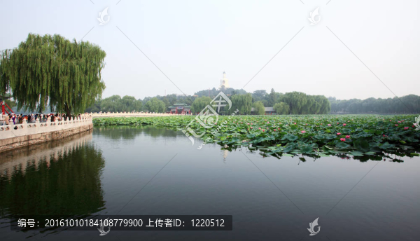 北海公園附近的故宮-北京
