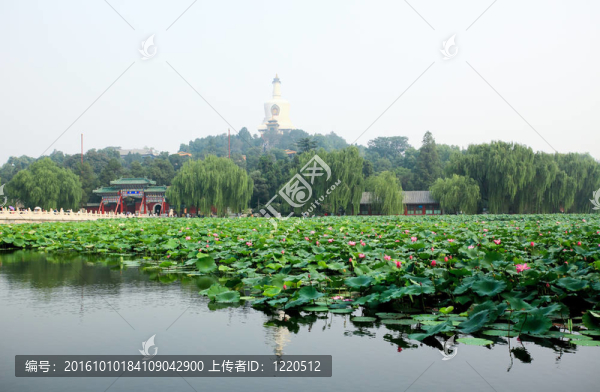北海公園附近的故宮-北京