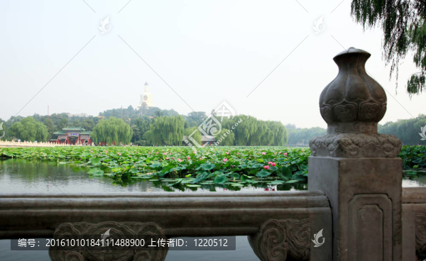 北海公園附近的故宮-北京