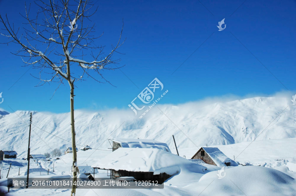 冬天的雪-,gudauri下樹和房子；格魯吉亞