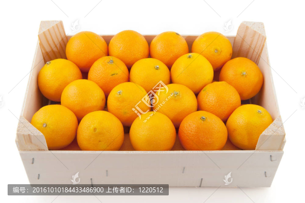 橘子收成時