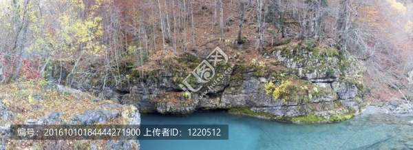 秋天