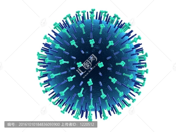 甲型H1N1流感病毒