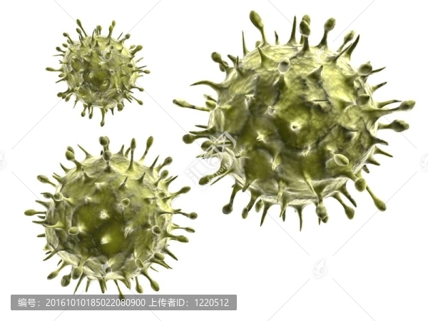 甲型H1N1流感病毒