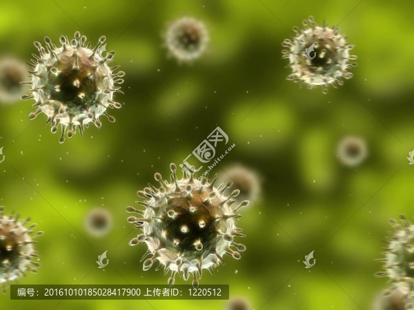甲型H1N1流感病毒