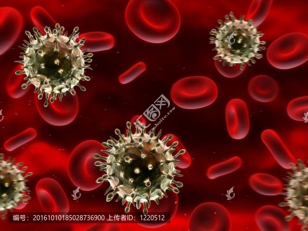 甲型H1N1流感病毒