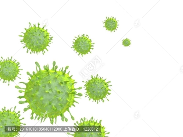 甲型H1N1流感病毒