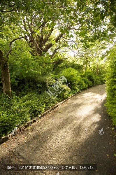 公園瀝青軌道