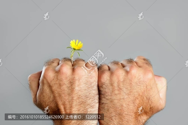 毛人手花的概念與對(duì)比