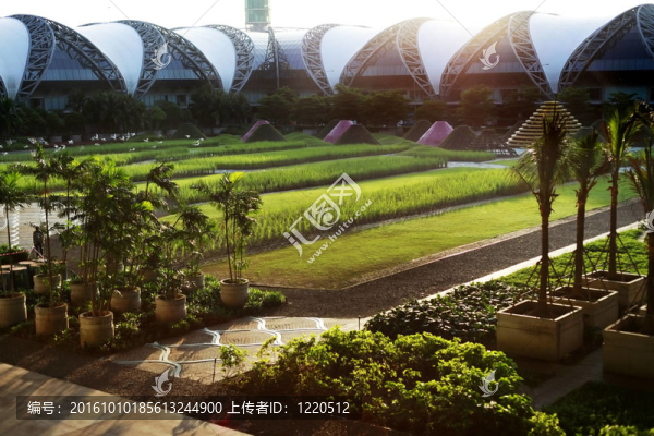 曼谷機場