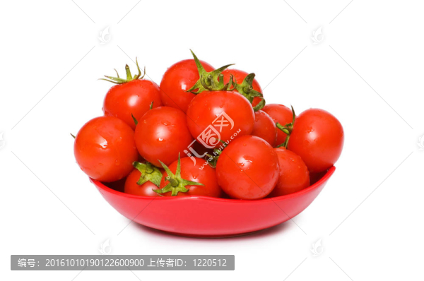 濕整個西紅柿排列的白色隔離