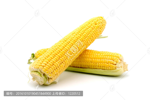 玉米棒子
