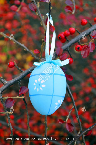 藍(lán)色和紅色果實(shí)的復(fù)活節(jié)彩蛋