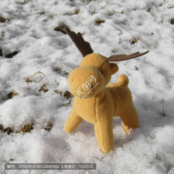 真正雪中的圣誕鹿