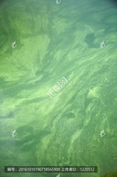 綠色的水