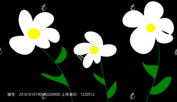 雛菊