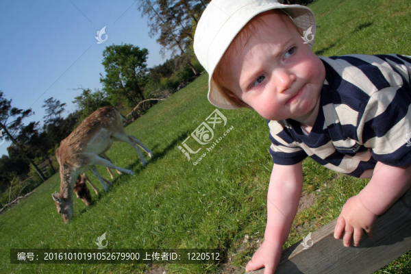兒童公園的鹿
