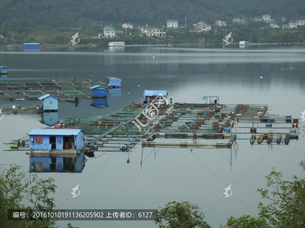 清江網(wǎng)箱養(yǎng)魚