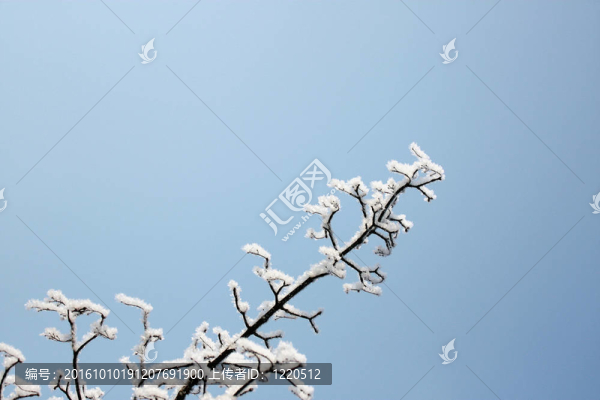 冬天的天氣