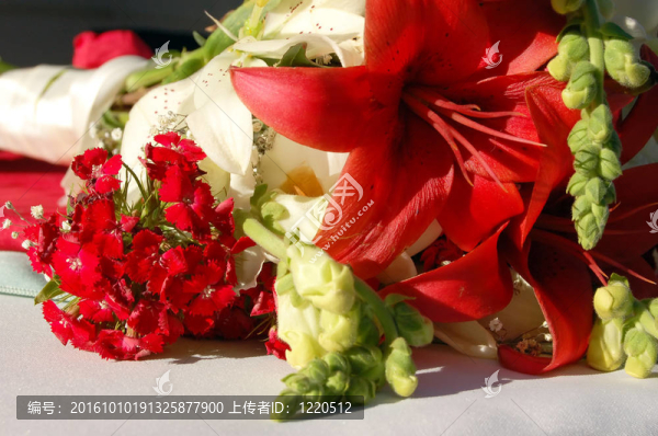 大紅色的花