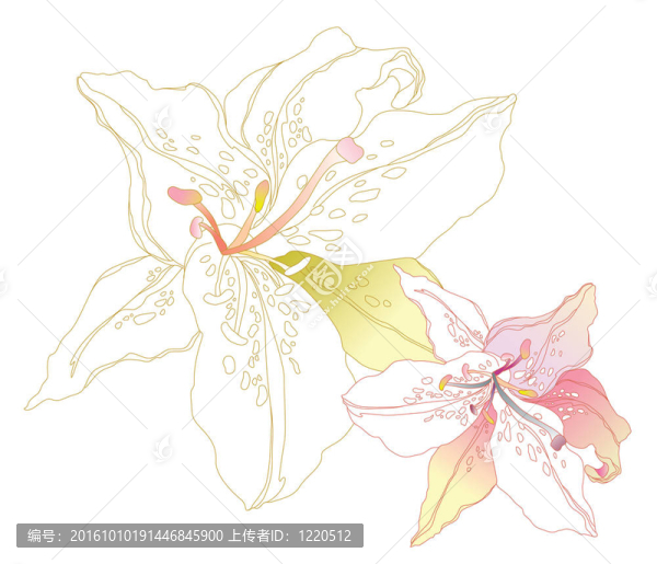 花