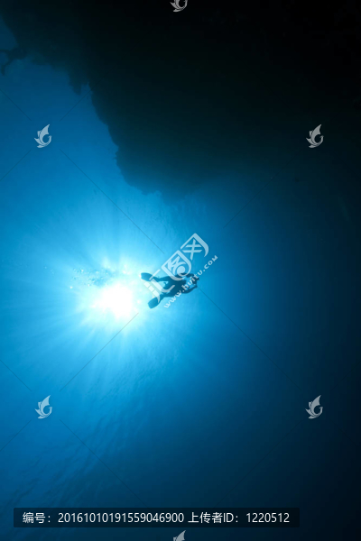 潛水員和海洋