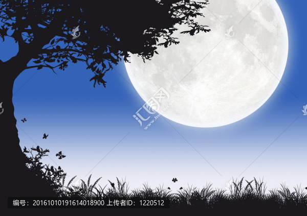 夜晚的月亮