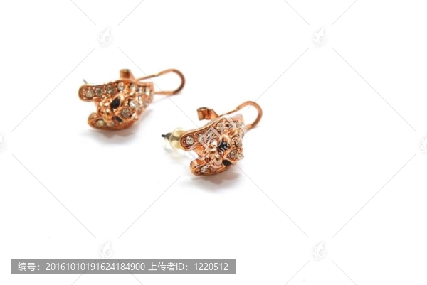 耳環(huán)
